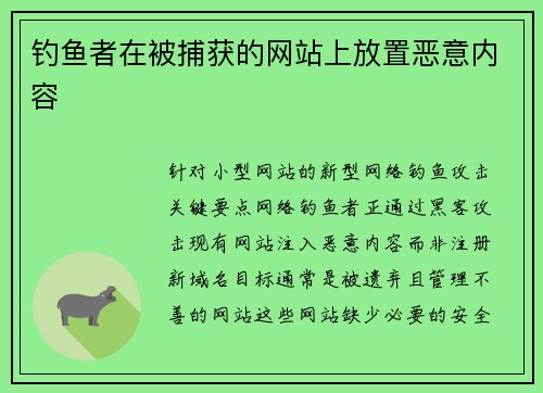 钓鱼者在被捕获的网站上放置恶意内容 