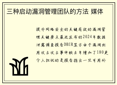 三种启动漏洞管理团队的方法 媒体